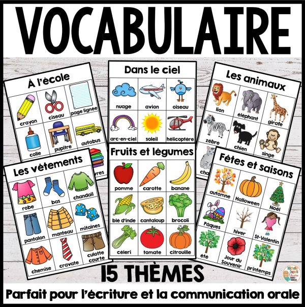 Vocabulaire - 15 fiches d'images en couleurs